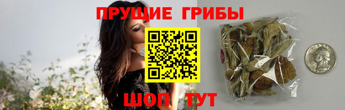 Псилоцибиновые грибы Psilocybine cubensis  Вход с VPN  Всеволожск 